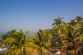 Arambol beach top view, palms, beach and Arabian sea, Goa, India Royalty Free Stock Photo