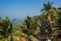 Arambol beach top view, palms, beach and Arabian sea, Goa, India Royalty Free Stock Photo