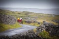 Aran Islands Horse Carts Royalty Free Stock Photo
