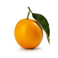 Arancia tarocco messina