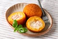 Arancini are Italian rice balls that are stuffed, filled with ham prosciutto and mozzata