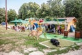 Two lutalica, typical serbian stray dogs, abandoned, having a rest, one sleeping in the streets of Arandjelovac