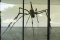 Aranha Spider, Louise Bourgeois, MAM, Museu de Arte Moderna de Sao Paulo, Ibirapuera Park