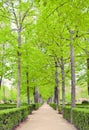 European formal garden