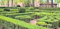 European formal garden