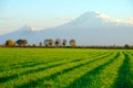 Ararat Royalty Free Stock Photo