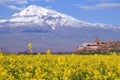 Ararat in Armenia Royalty Free Stock Photo