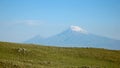 Ararat mountain Royalty Free Stock Photo