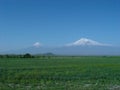 Ararat mountain. Royalty Free Stock Photo