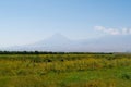 Ararat mountain vineyards view. Grape field in Ararat valley. View of Khor Virap and Mount Ararat. Armenia picturesque mountain