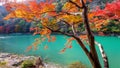 Arashiyama in autumn season along the river in Kyoto, Japan Royalty Free Stock Photo