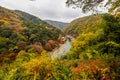 Arashiyama autumn view