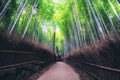 Arashiyama Bamboo Forest famous place Kyoto Japan Royalty Free Stock Photo