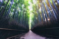 Arashiyama Bamboo Forest famous place Kyoto Japan Royalty Free Stock Photo