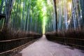 Arashiyama Bamboo Forest famous place Kyoto Japan Royalty Free Stock Photo