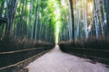 Arashiyama Bamboo Forest famous place Kyoto Japan Royalty Free Stock Photo