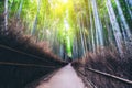 Arashiyama Bamboo Forest famous place Kyoto Japan Royalty Free Stock Photo