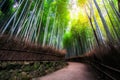 Arashiyama Bamboo Forest famous place Kyoto Japan Royalty Free Stock Photo