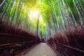 Arashiyama Bamboo Forest famous place Kyoto Japan Royalty Free Stock Photo