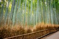 Arashiyama bamboo forest, Kyoto, Japan Royalty Free Stock Photo