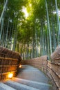 Arashiyama Bamboo Forest Royalty Free Stock Photo