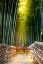 Arashiyama Bamboo Forest Royalty Free Stock Photo