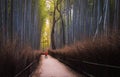 Arashiyama Bamboo Forest Kyoto, Japan Royalty Free Stock Photo