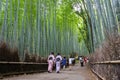 Arashiyama Bamboo Forest