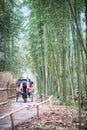 Arashiyama Bamboo Forest with Rickshaw and tourists.