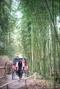 Arashiyama Bamboo Forest with Rickshaw and tourists.
