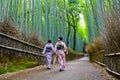 Arashiyama Bamboo Forest Royalty Free Stock Photo