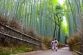 Arashiyama Bamboo Forest Royalty Free Stock Photo