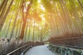 Arashiyama bamboo forest with walking path Royalty Free Stock Photo