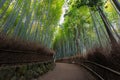 Arashiyama Bamboo Grove of Bamboo Forest in Kyoto, Japan Royalty Free Stock Photo