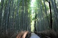 Arashiyama Bamboo Grove . Bamboo Forest . Kyoto . Japan Royalty Free Stock Photo