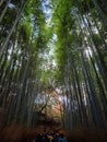 Arashiyama bamboo grove in Japan Royalty Free Stock Photo