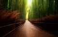 Arashiyama bamboo grove in Japan Royalty Free Stock Photo