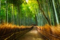 Arashiyama Bamboo Grove Royalty Free Stock Photo