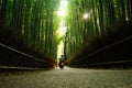 Arashiyama Bamboo