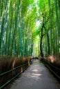 The Arashiyama Bamboo Grove , kyoto, Japan Royalty Free Stock Photo