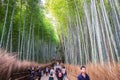 Arashiyama Bamboo Grove or Sagano Bamboo Forest, is a natural forest of bamboo in Arashiyama, landmark and popular for tourists