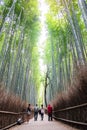 Arashiyama Bamboo Grove or Sagano Bamboo Forest, is a natural forest of bamboo in Arashiyama, landmark and popular for tourists