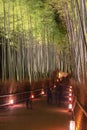 Arashiyama Bamboo Grove Zen garden light up at night Royalty Free Stock Photo