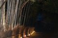 Arashiyama Bamboo Grove Zen garden light up at night Royalty Free Stock Photo