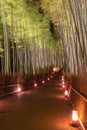 Arashiyama Bamboo Grove Zen garden light up at night Royalty Free Stock Photo