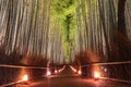 Arashiyama Bamboo Grove Zen garden light up at night Royalty Free Stock Photo