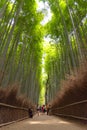 Arashiyama Bamboo Grove Zen garden, a natural forest of bamboo in Arashiyama, Kyoto Royalty Free Stock Photo