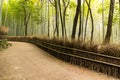 Arashiyama Bamboo Path, famous travel destination in Japan.