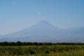 Aratrat mountain vineyards view. Grape field in Ararat valley. View of Khor Virap and Mount Ararat. Armenia picturesque mountain