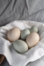Araucana eggs and goose eggs